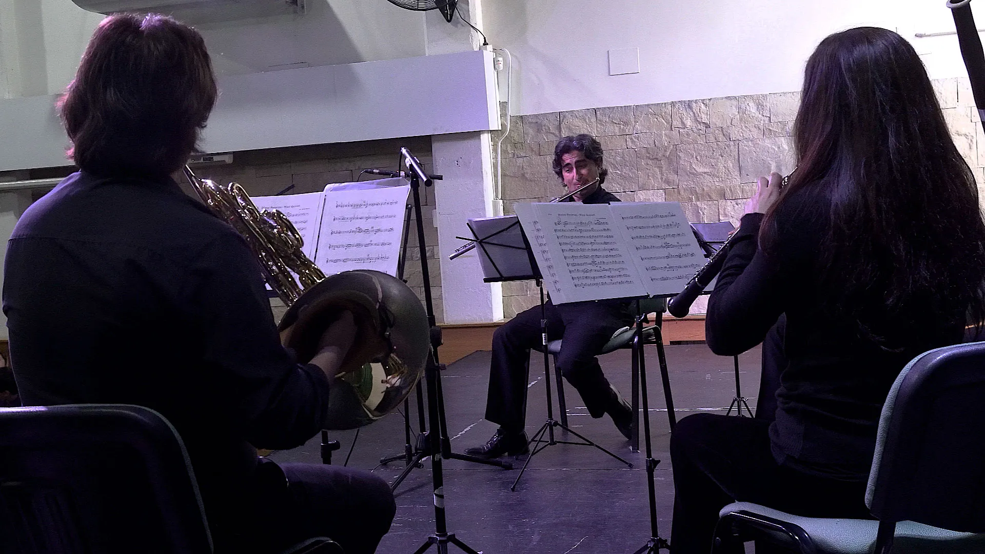 Concierto didáctico Quinteto de Vientos de Madera - Arte y Difusión