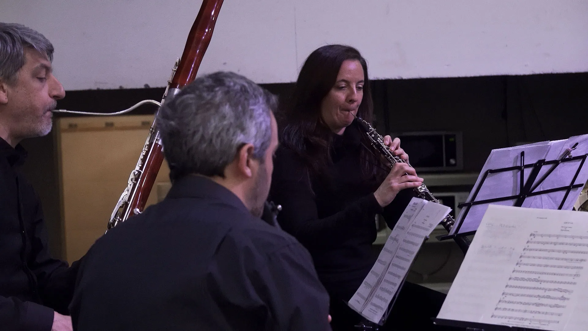 Concierto didáctico Quinteto de Vientos de Madera - Arte y Difusión