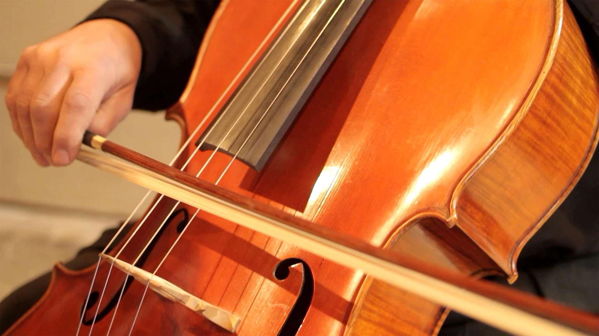 Concierto didáctico Trío y Cuarteto de Cuerdas - Arte y Difusión